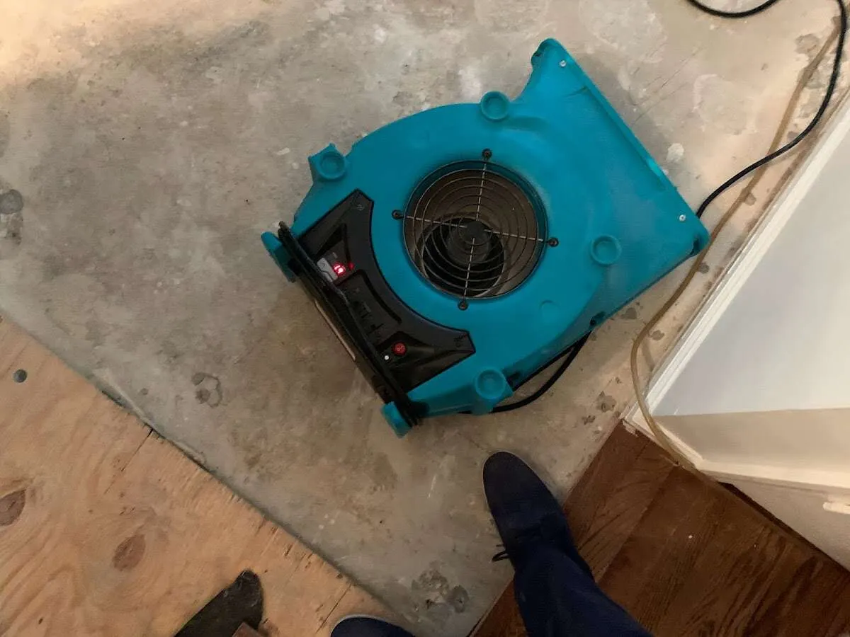 Air mover drying subfloor during Commercial Water Damage Restoration in Fairview
